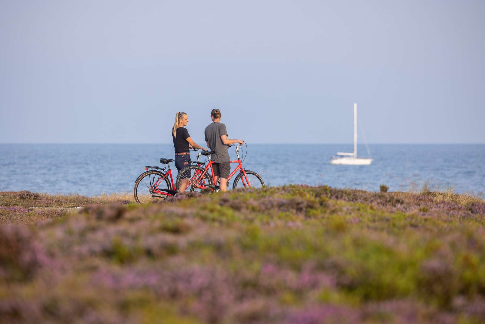 Cykelruter på Læsø | VisitLæsø