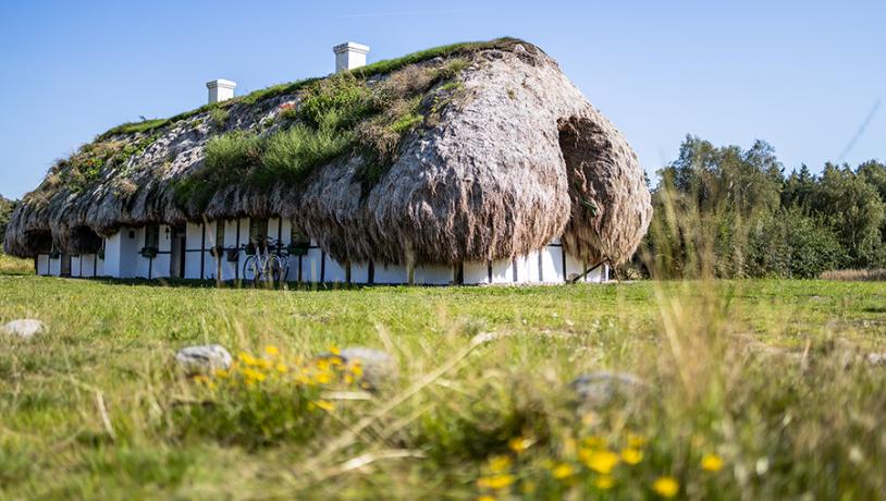 Læsø Tanghuse