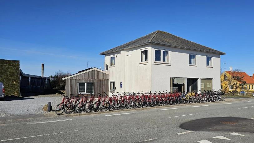 Læsø Cykeludlejning - cykler Havets Dag