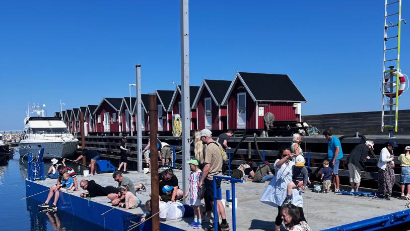Krabbefangst Havets Dag Læsø 2025