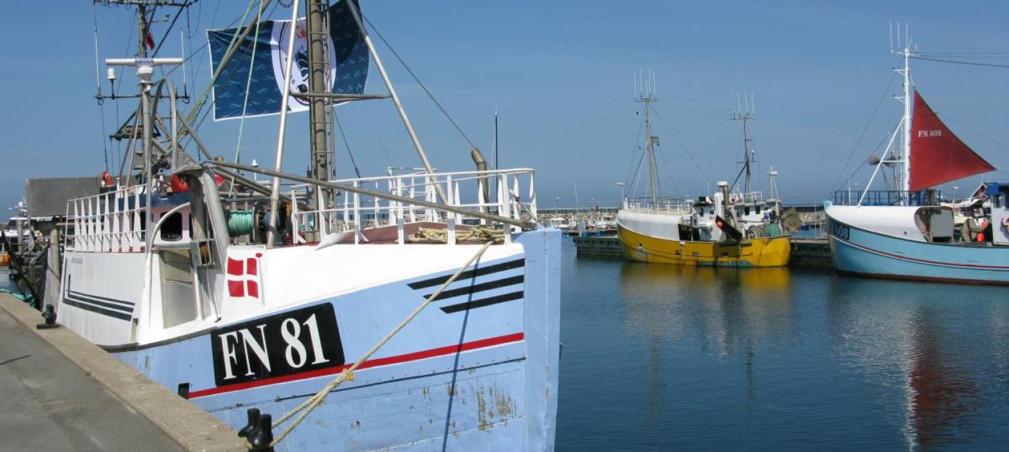 Fiskekutter i Østerby Havn