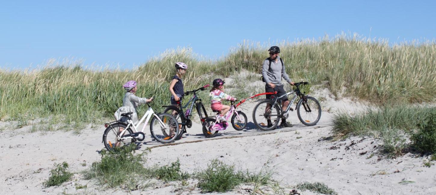 Cykelfamilie