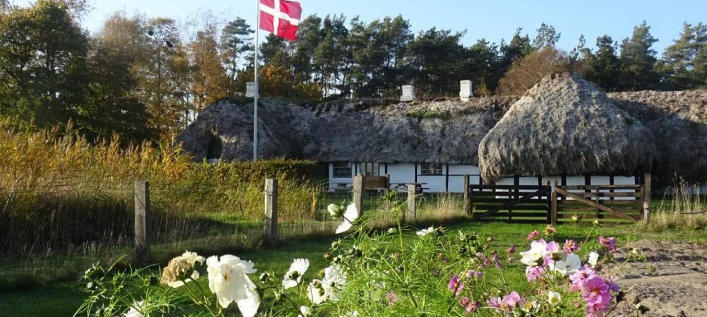 Vandrerute Østerby - Jegens - Tanghusruten - Rhododendronstien