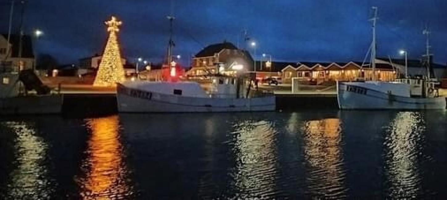 Juletræ på ØSterby Havn