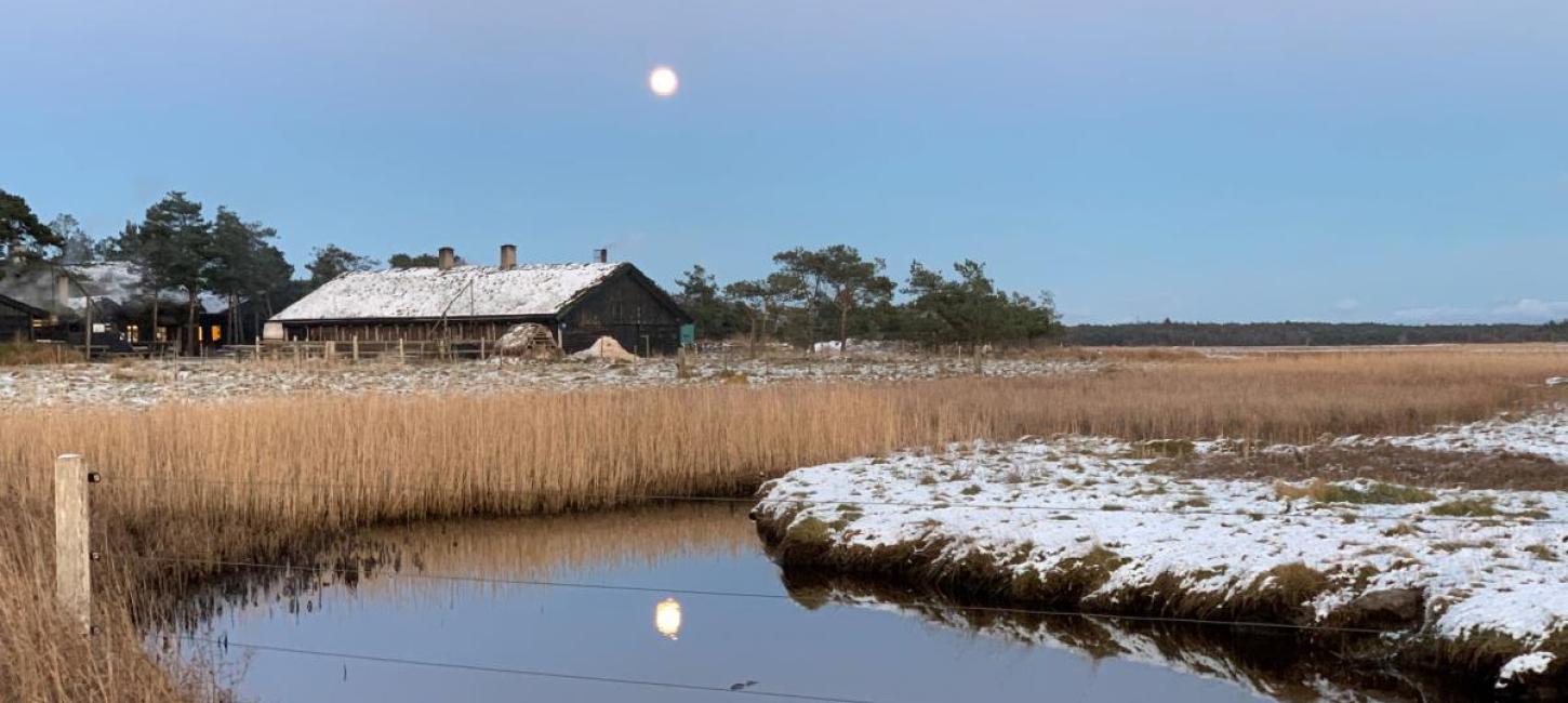 Læsø Saltsyderi tilbyder Julesalt hvert år