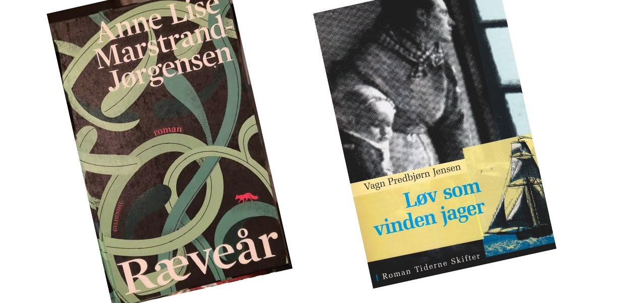 Litteraturcafe bibliotek Læsø