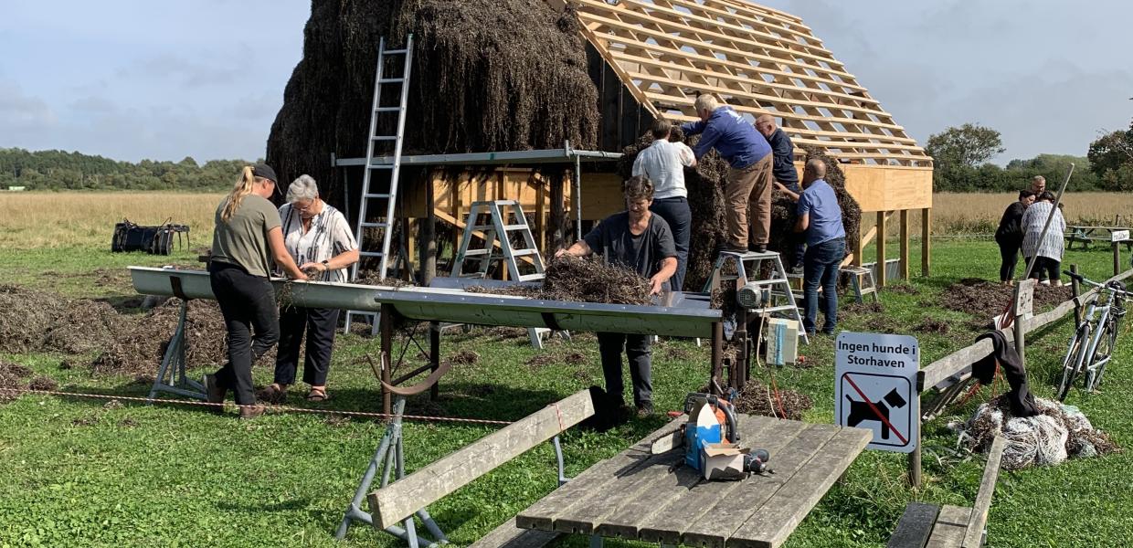 Tangworkshop Storhaven 2025 - tangtage