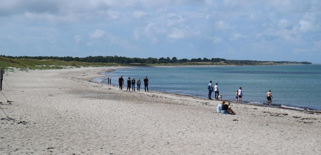 Læsø byder på rigtigt mange muligheder for at vandre og gå - lige fra den helt store Læsø Rundt på 60 kilometer til små ture som N