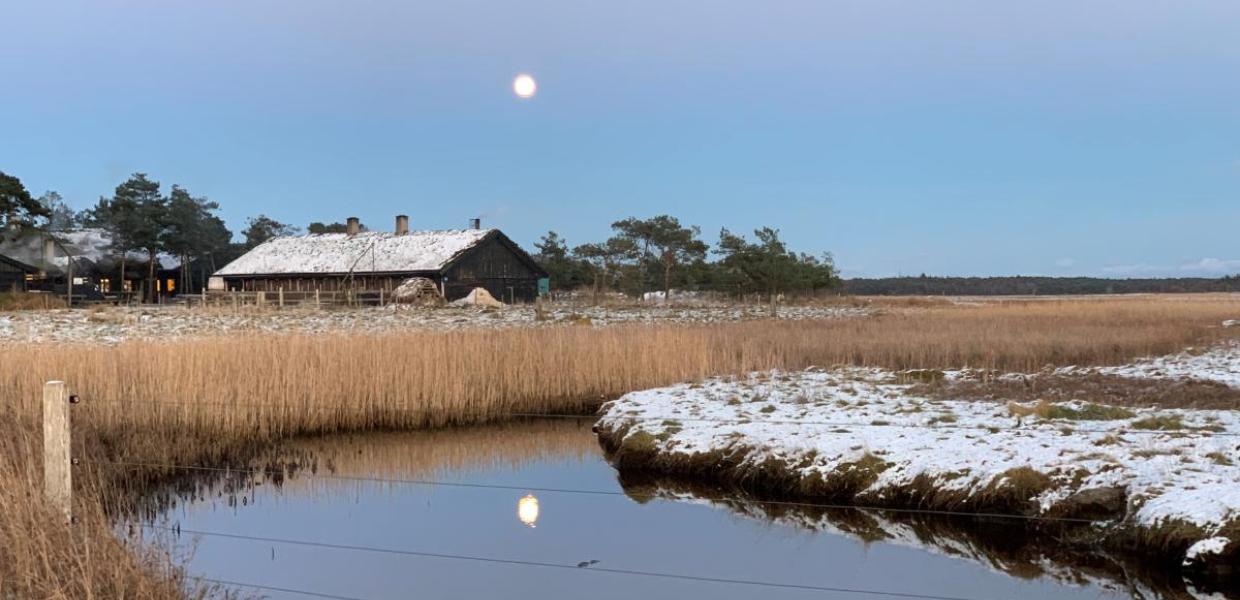 Læsø Saltsyderi tilbyder Julesalt hvert år