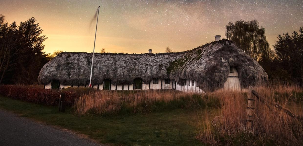 Lys i Mørket - Skoven