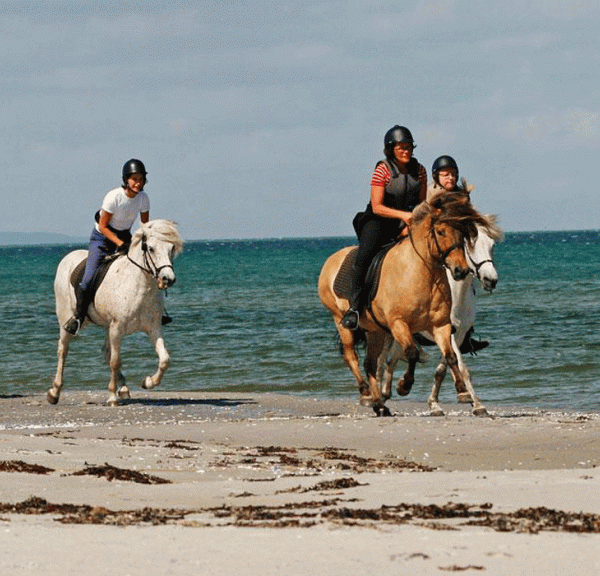 Ridning på stranden