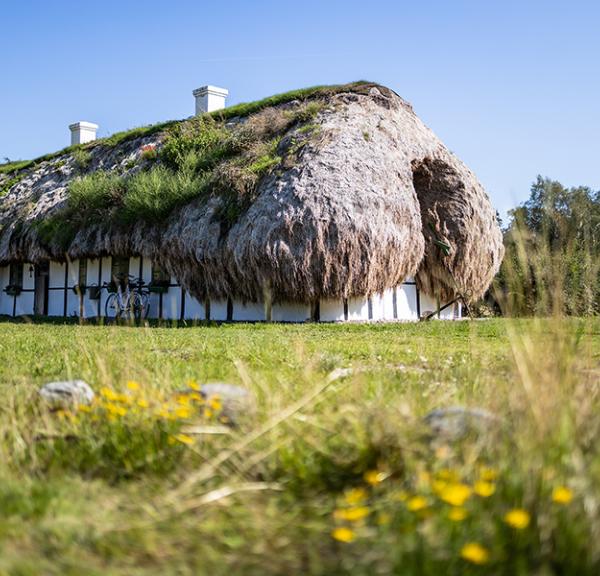 Læsø Tanghuse