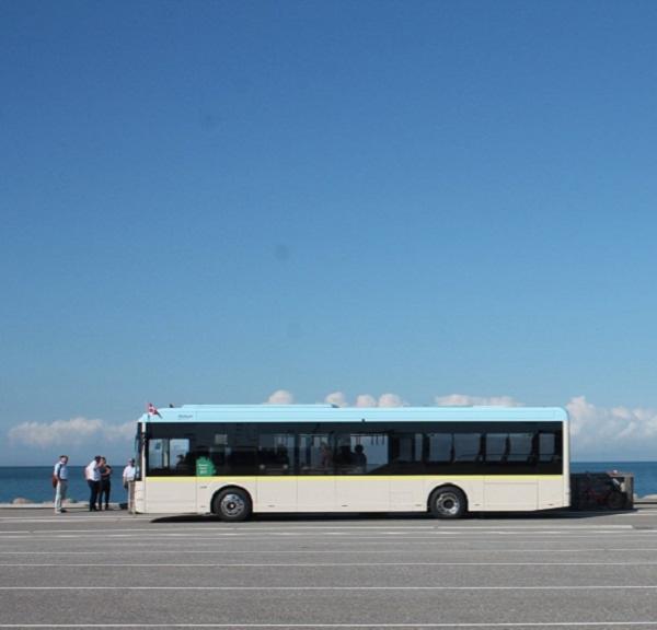 Elbus på Saltets Dag