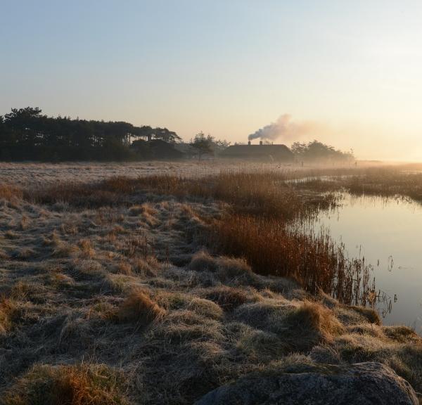 Læsø Saltsyderi i morgendis