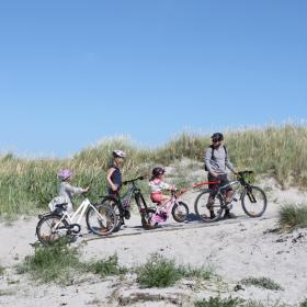 Cykelfamilie