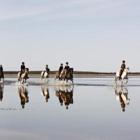 Galop på rønnerne