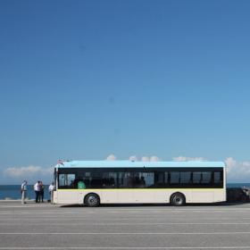 Elbus på Saltets Dag