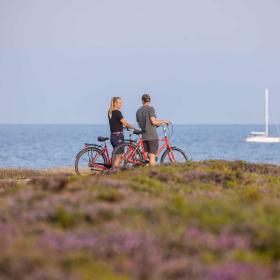 Cykelferie på Læsø - nordkysten