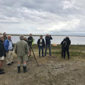 Fugletur sydvesten Folmer