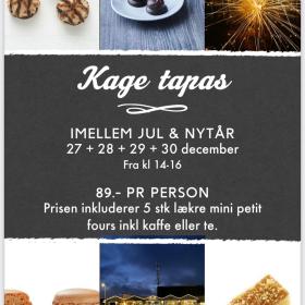 Palsgaard kagetapas nytår 2025