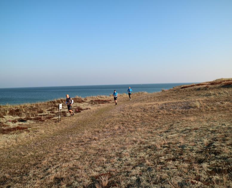 Læsø Ultra - løb og vandring på Læsø